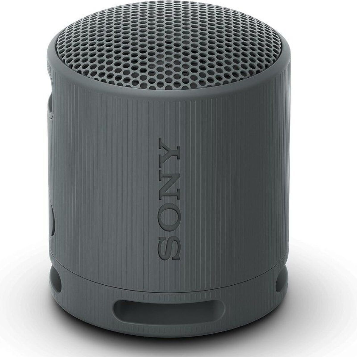 Haut-parleurs bluetooth Sony SRSXB100B Noir